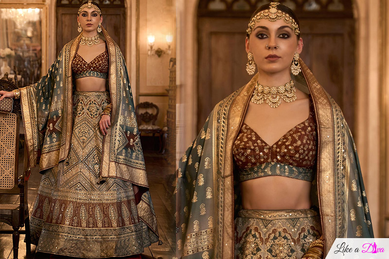 Taupe & Multicolor Woven Silk Embroidered Lehenga Set