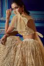 Dusky Beige Party Wear Lehenga with Beautiful Embroidery