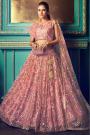 Blush Pink Party Wear Net Lehenga with Beautiful Sequin Work