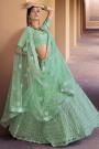Mint Green Embroidered Lehenga Choli with Sequins work