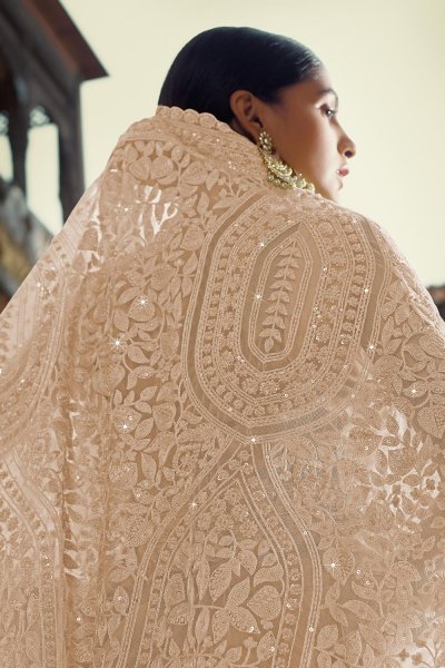 Pastel Brown Soft Net thread Embroidered Saree