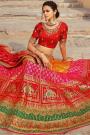 Multicolour Embroidered Banarasi Silk Lehenga