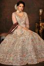 Light Brown Net Embroidered Anarkali Suit With Dupatta