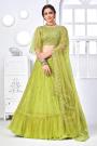 Light Lime Green Net Embellished Lehenga Choli Set