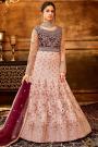 Light Pink & Wine Net Embroidered Anarkali Dress