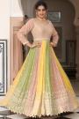 Multicolor Georgette Embroidered Anarkali Dress With Dupatta