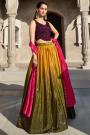 Multicolor Georgette Ombre Effect Embroidered Lehenga Set