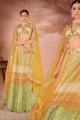 Yellow & Green Net Embroidered Lehenga Set