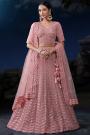Blush Pink Net Embroidered Lehenga Set