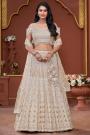 Beige Golden Net Embroidered Lehenga Set