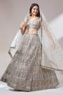 Light Beige Net Embroidered Lehenga Set