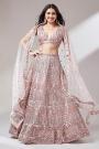 Rose Gold Net Embroidered Lehenga Set