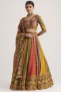 Multicolor Organza Silk Printed & Hand Embroidered Lehenga Set