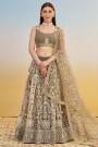 Taupe Net Embroidered Lehenga Set
