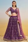 Plum Net Embroidered Lehenga Set