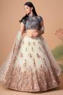 Ivory Net Embroidered Lehenga Choli Set