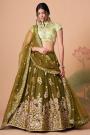 Fern Green Net Embroidered Lehenga Choli Set