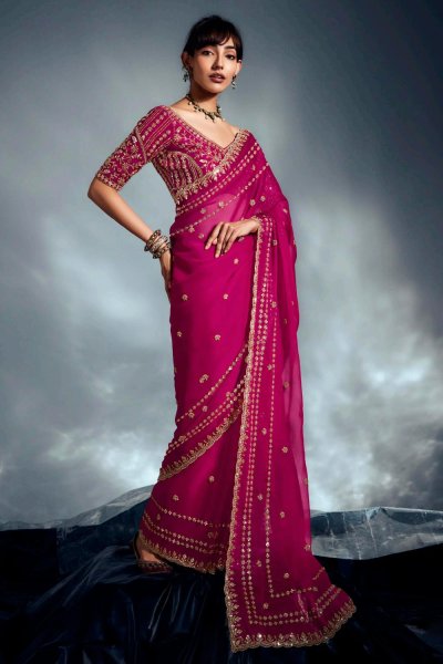 Magenta Pink Tissue Silk Embroidered Saree Magenta Pink Tissue Silk Embroidered Saree