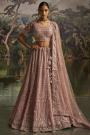 Beige Pink Embroidered Net Lehenga Set