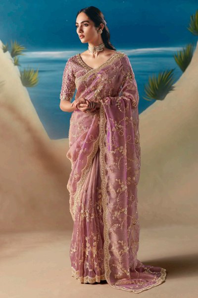 Blush Hot Pink Hand Embroidered Luxurious Tissue Silk Fabric Saree