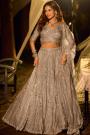 Shimmering Champagne Silver Net Embroidered Designer Lehenga Set
