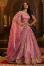 Blush Pink Organza Silk Embroidered Lehenga Set