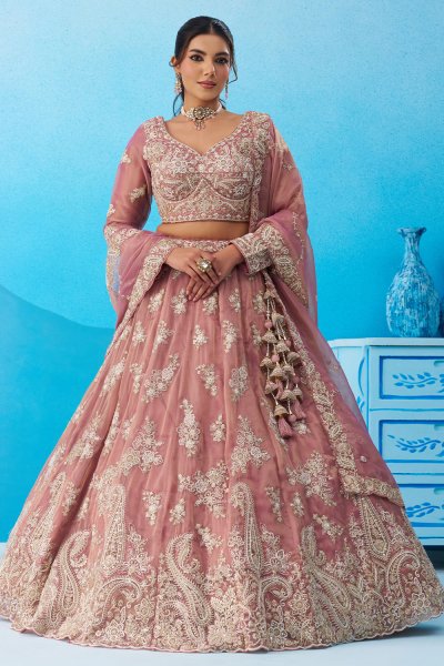 Blush Pink Tissue Silk Embroidered Lehenga Set
