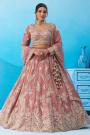 Blush Pink Tissue Silk Embroidered Lehenga Set