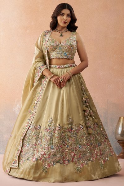 Beige Gold Tissue Silk Embroidered Lehenga Set