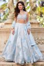 Powder Blue Organza Silk Applique & Hand Embroidered Lehenga Set