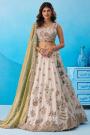 Ivory & Mint Green Tissue Silk Embroidered Lehenga Set