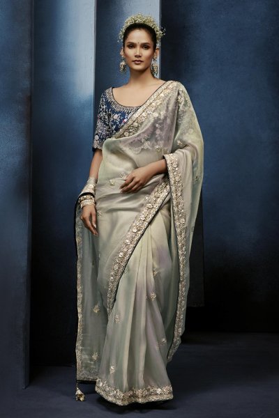 Silver Grey Tissue Silk Hand Embroidered Saree