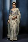 Silver Grey Tissue Silk Hand Embroidered Saree