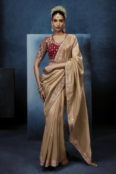 Champagne Tissue Silk Hand Embroidered Saree