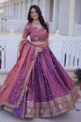 Two Tone Plum Silk Embroidered Lehenga Set