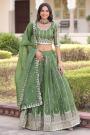 Green Tissue Silk Embroidered Lehenga Set