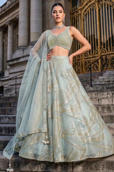 Ice Blue Organza silk Lehenga With Hand Embroidered Net & Silk Blouse With Dupatta