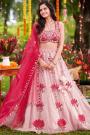 Ivory & Pink Hand Embroidered Net Lehenga Set With Silk Blouse