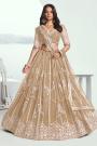 Beige Net Embroidered Lehenga Set
