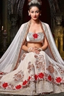 Beautiful feminine White and Red Georgette Lehenga